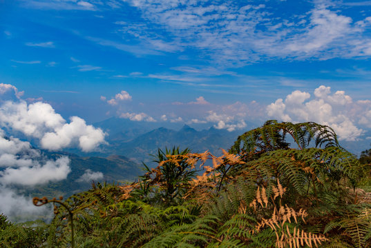 Parque de las nubes Jeric&oacute;
