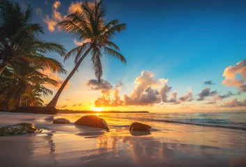 Foto op Canvas Palm en tropisch strand in Punta Cana, Dominicaanse Republiek © ValentinValkov
