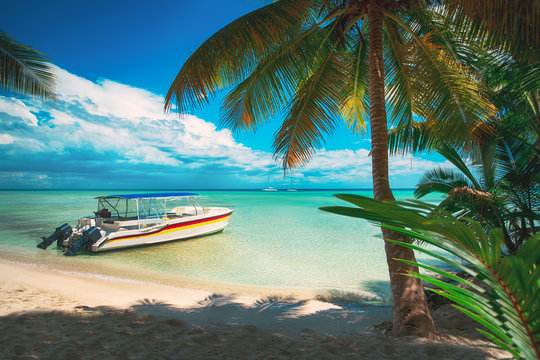 Palm trees, tropical beach, caribbean sea and speed boat. Saona Island, Dominican Republic