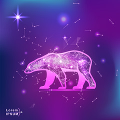 polar bear. Polygonal wireframe bear silhouette on gradient background. Space, futuristic, zodiac concept. Shine neon style vector illustration