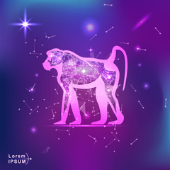 Fototapeta na wymiar monkey baboon. Polygonal wireframe monkey silhouette on gradient background. Space, futuristic, zodiac concept. Shine neon style vector illustration