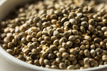 Organic Roasted Hemp Seeds