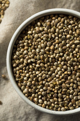 Organic Roasted Hemp Seeds