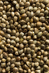 Organic Roasted Hemp Seeds