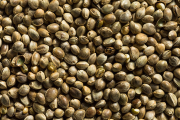 Organic Roasted Hemp Seeds