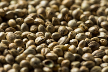 Organic Roasted Hemp Seeds