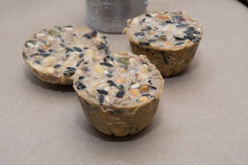 Homemade bird suet cakes