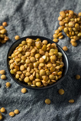 Raw Organic Fresh Lentils