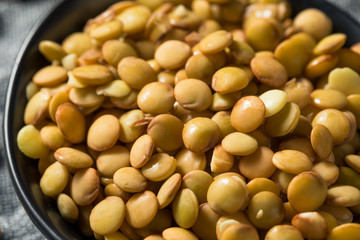 Raw Organic Fresh Lentils