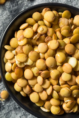 Raw Organic Fresh Lentils