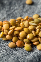 Raw Organic Fresh Lentils