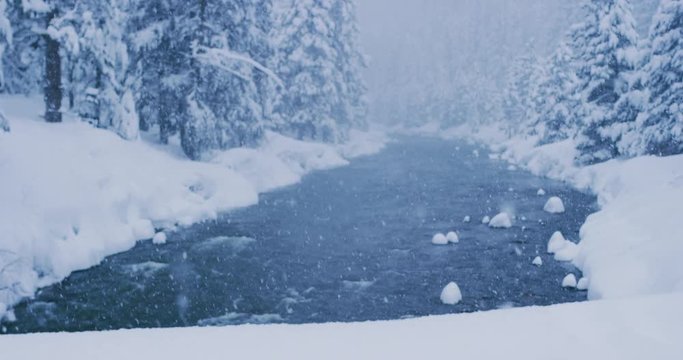 Serene beautiful winter river flowing with forest and snowflakes falling, winter nature scene