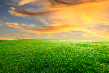 Green grass and beautiful sky at sunset