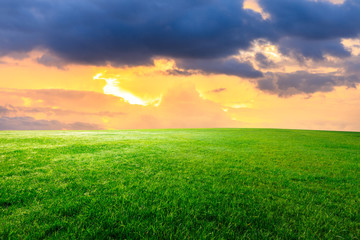 Green grass and beautiful sky at sunset