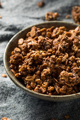 Homemade Chocolate Granola in a Bowl