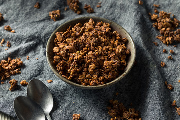 Homemade Chocolate Granola in a Bowl