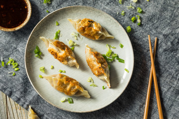Homemade Korean Mandu Pork Dumplings