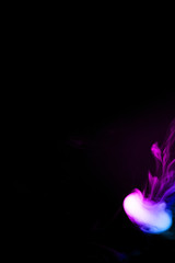 Round colored ring of vape fog on black background. At right side of photo thick smoke bicolor ring goes down. Blue and purple color steam. Vape culture and no smoking direction.