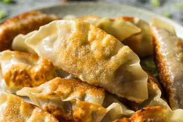 Homemade Korean Mandu Pork Dumplings