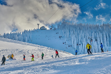 Pine forest covered in snow on winter season,Mountain landscape in Poiana Brasov with view over the the ski slope with skiers and snowboarders enjoy the ski, Transylvania,Romania