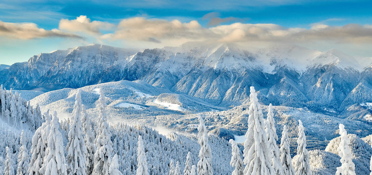 Panoramic view over the ski slope Poiana Brasov ski resort in Transylvania, Pine forest covered in snow on winter season,Mountain landscape in winter with the Bucegi Mountains in the background
