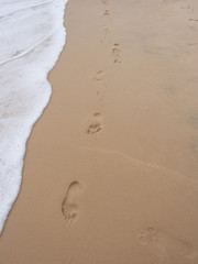 Footsteps In The Sand At The Beach