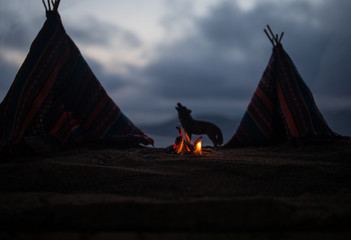 An old native american teepee in the desert © zef art