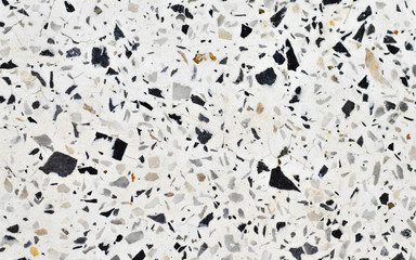 flock of birds