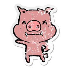 distressed sticker of a angry cartoon pig