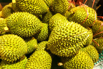 Close-up durian