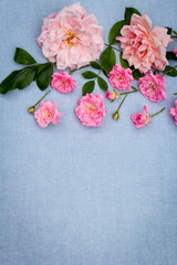 Naklejka na ściany i meble Beautiful, romantic rosy background