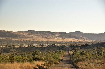 Pilanesberg National Park, North West Province, South Africa