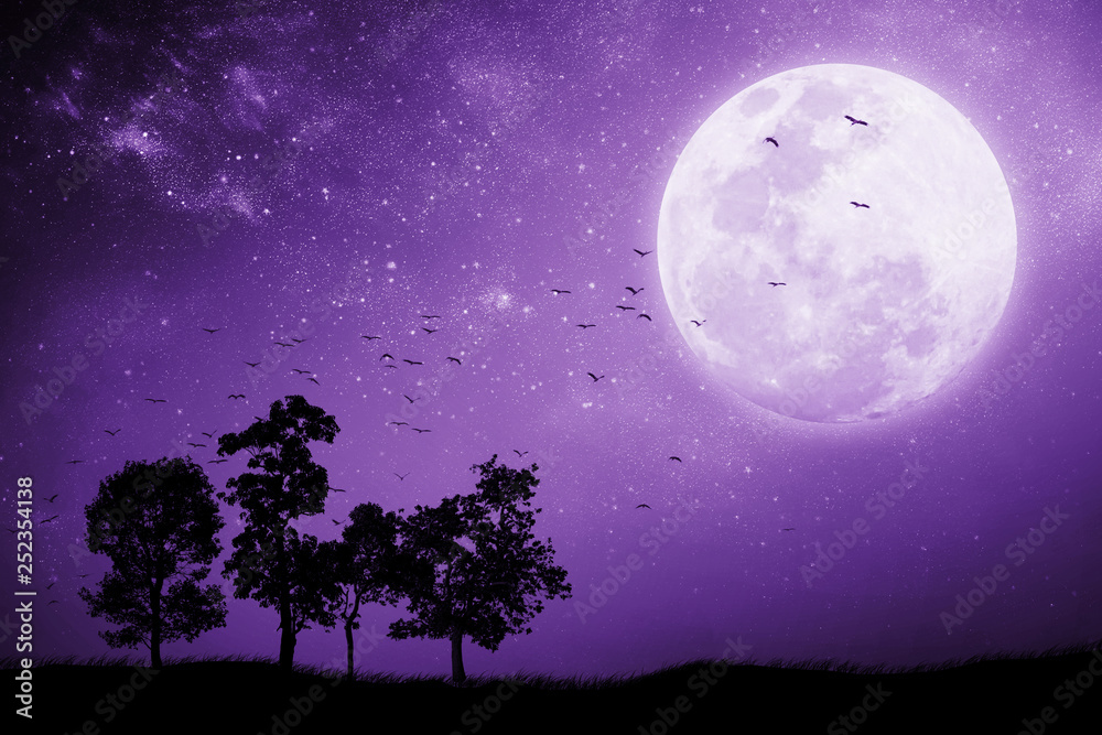 Canvas Prints full moon night with the shadow of a tree and birds that fly back to the nest. mixed media. proton p