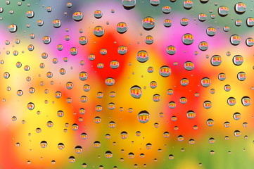 Water drop colorful flowers