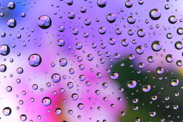 Water drop colorful flowers