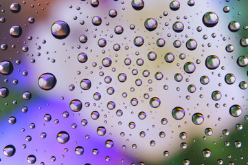 Water drop colorful flowers