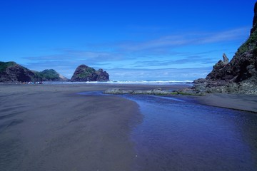 美しいニュージーランドの夏の海岸