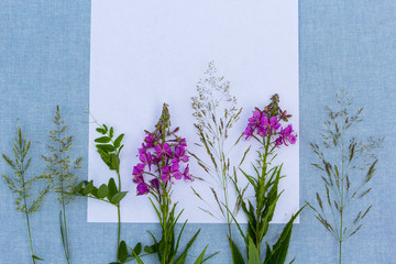 Beautiful wildflowers, artistic background