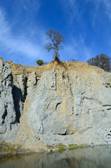 lone tree on cliff above river