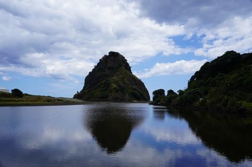 美しいニュージーランドの夏の海岸