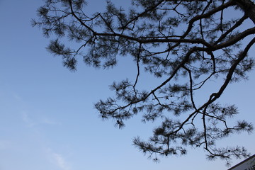 아름다운 풍경
