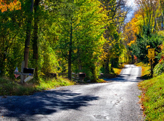 Naklejka premium Country road