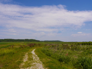 Landscape with rural road and blue sky