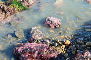 pink rocks in the ocean tide pools