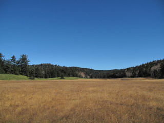 Obraz premium 風景