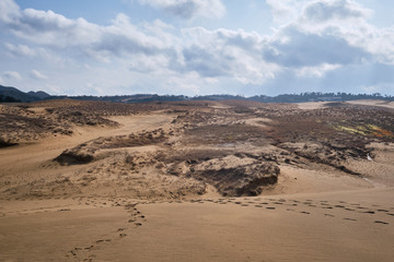 A grassland outside of sand dunes in winter at Tottori, Japan.