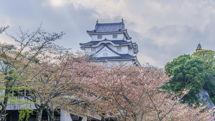 春の大多喜城の風景