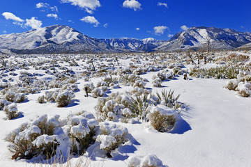 Snow covered alpine terrain in the Mount Charleston region, popular hiking and climbing spots in the Spring Mountains, near Las Vegas Nevada, USA
