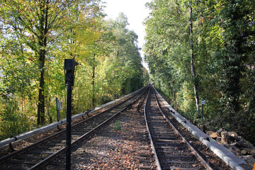 Fototapeta premium Railroad tracks surrounding by tree line during train station, empty platform wait for train cargo container, tourism journey by sky train rail