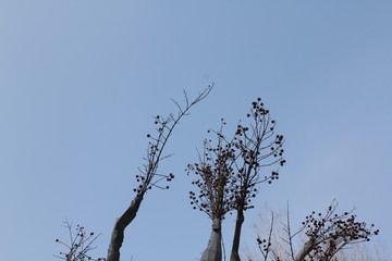 풍경